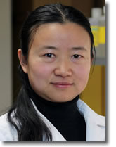Qi Chen, PhD