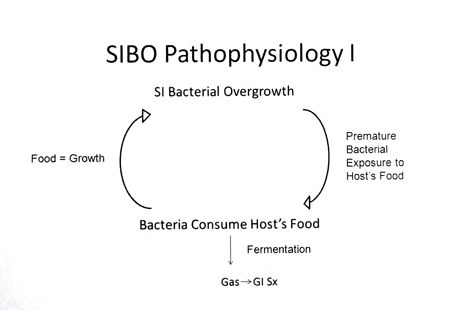 SIBO Pathophysiology I