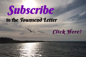 Button for subscribing; image includes a beach at sunset with two birds flying.