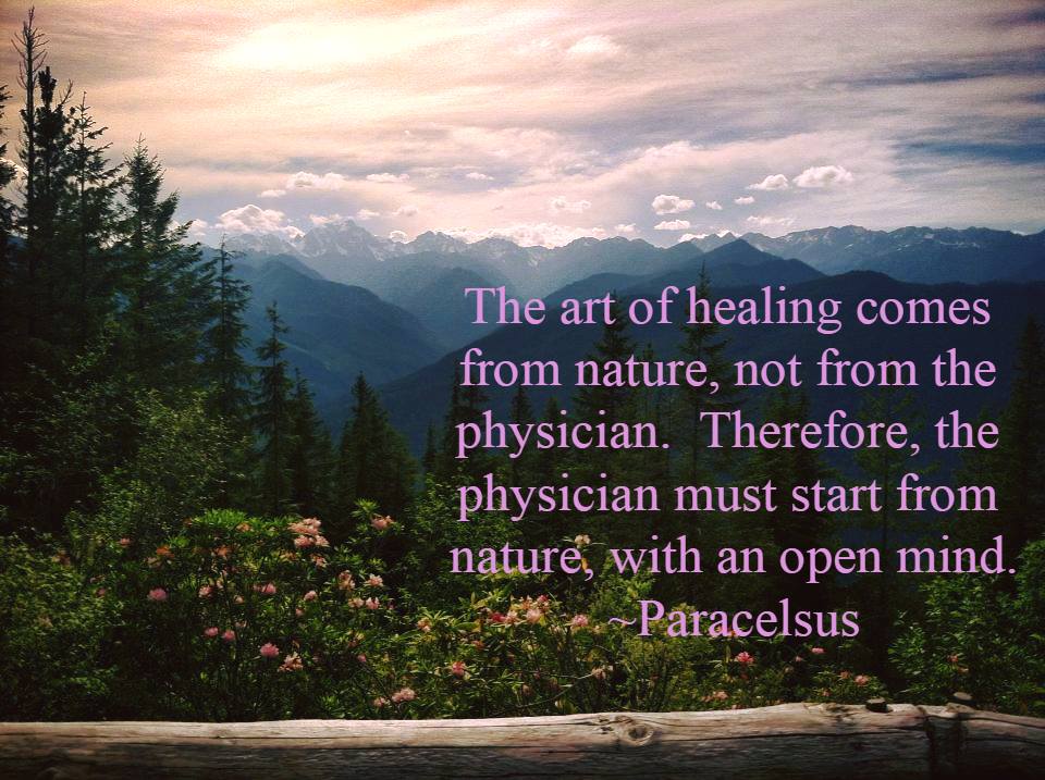 Photo of mountains in the distance, with trees and flowers in the foreground.  Contains a quote from Paracelsus concerning the art of healing.