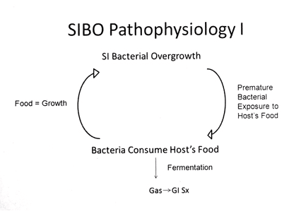 SIBO Pathophysiology1