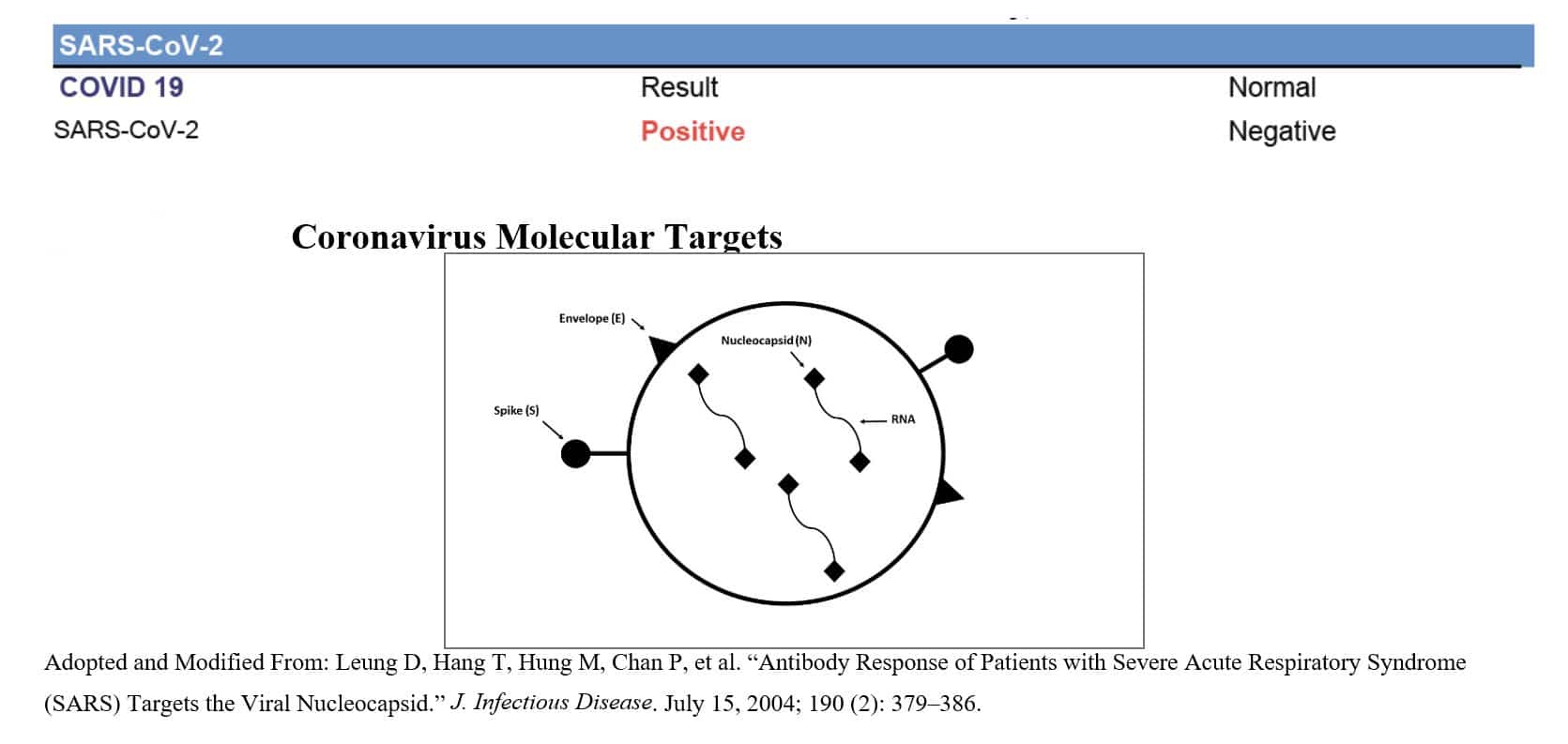 Figure showing Coronavirus Molecular Targets